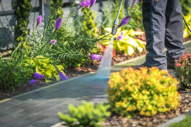 Best Fence Cleaning  in Lantana, TX